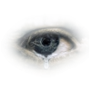 Eye Oko - モデル - 