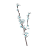 Flower Cvijet - Biljke - 