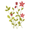 Flowers Cvijeće - Ilustrationen - 
