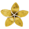 Gold Franjapani Flower - Jóia - 