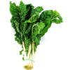 Green Swiss Chard - Gemüse - 