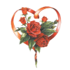 Heart of roses - Ilustracije - 