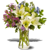 Heavenly Hamptons Flowers - 植物 - 
