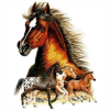 Horses - Animais - 