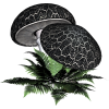 Mushroom Gljiva - Verdure - 