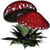 Mushroom Gljiva - Verdure - 