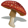 Mushroom - Illustrations - 