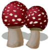 Mushroom - Ilustrationen - 