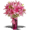 Pink Mothers Day Lily Arrangem - Piante - 