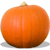 Pumpkin - Zelenjava - 
