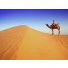 Pustinja - Desert - Background - 