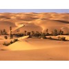 Pustinja - Desert - Ozadje - 