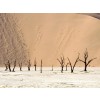 Pustinja - Desert - Hintergründe - 