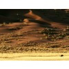Pustinja - Background - 