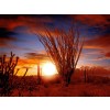 Pustinja zalazak sunca - Background - 