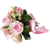 Roses Ruže - Rośliny - 