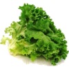 Salad - Vegetables - 