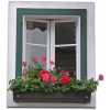 Window Flower Box - 建物 - 