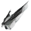 Wings - Rascunhos - 