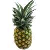 Ananas - Obst - 