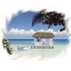 beach - Natureza - 