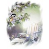 birds - Background - 