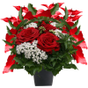  bouquet flowers - Растения - 