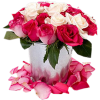  bouquet roses - 植物 - 