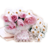 bouquet roses - Piante - 