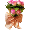  bouquet roses - Pflanzen - 