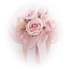  bouquet roses ruže - Rośliny - 