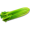 Celer - 蔬菜 - 