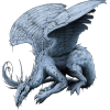 dragon - Animais - 