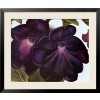 framed picture - 饰品 - 