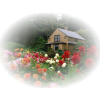 house garden flowers - Buildings - 