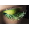 makeup - Illustrazioni - 