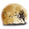 moon - Иллюстрации - 