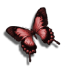 paper butterfly - Przedmioty - 