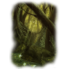 swamp - Rascunhos - 