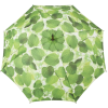 umbrela - Rascunhos - 