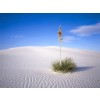 white desert - Background - 