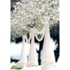 wedding - Plantas - 