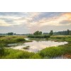 wetlands - Natureza - 
