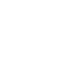 white circle - Uncategorized - 