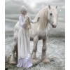 white horse - 動物 - 