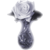 white rose - Ilustracje - 