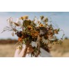 wildflowers - Natural - 