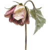 wilted flower - 饰品 - 