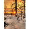 winter country - Мои фотографии - 