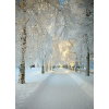 winter - Nature - 